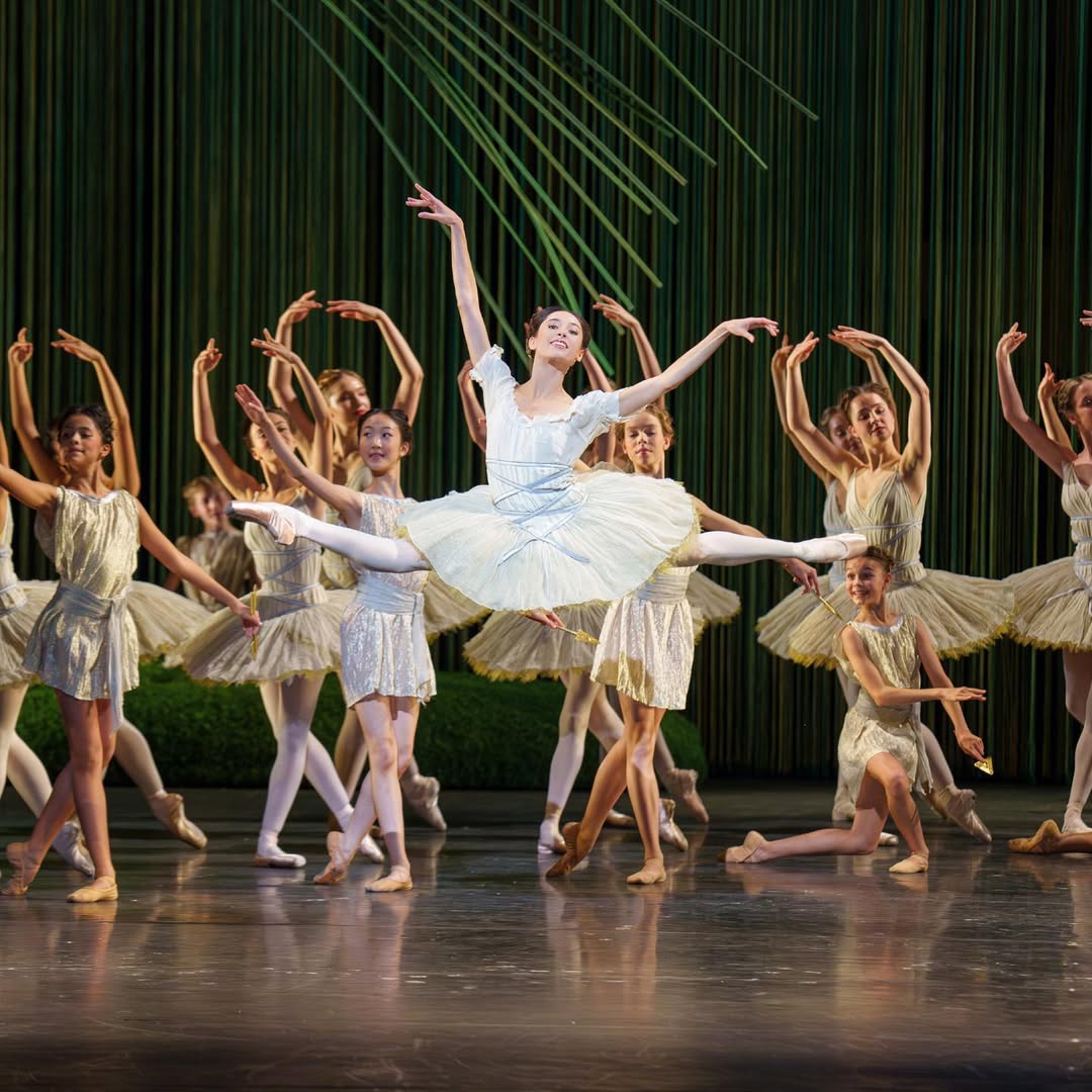 Don Quixote (Queen of the Dryads)