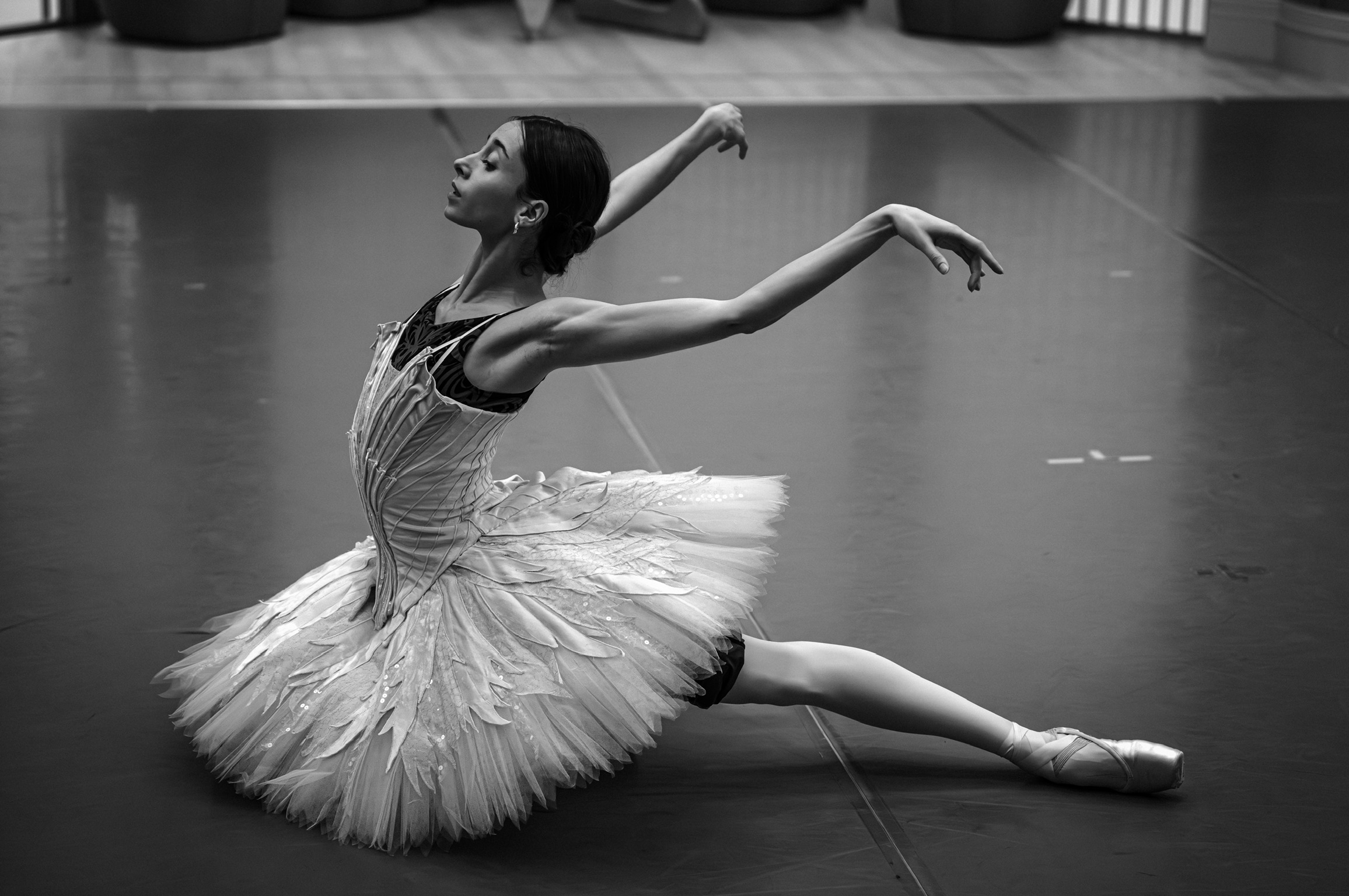 Dying Swan