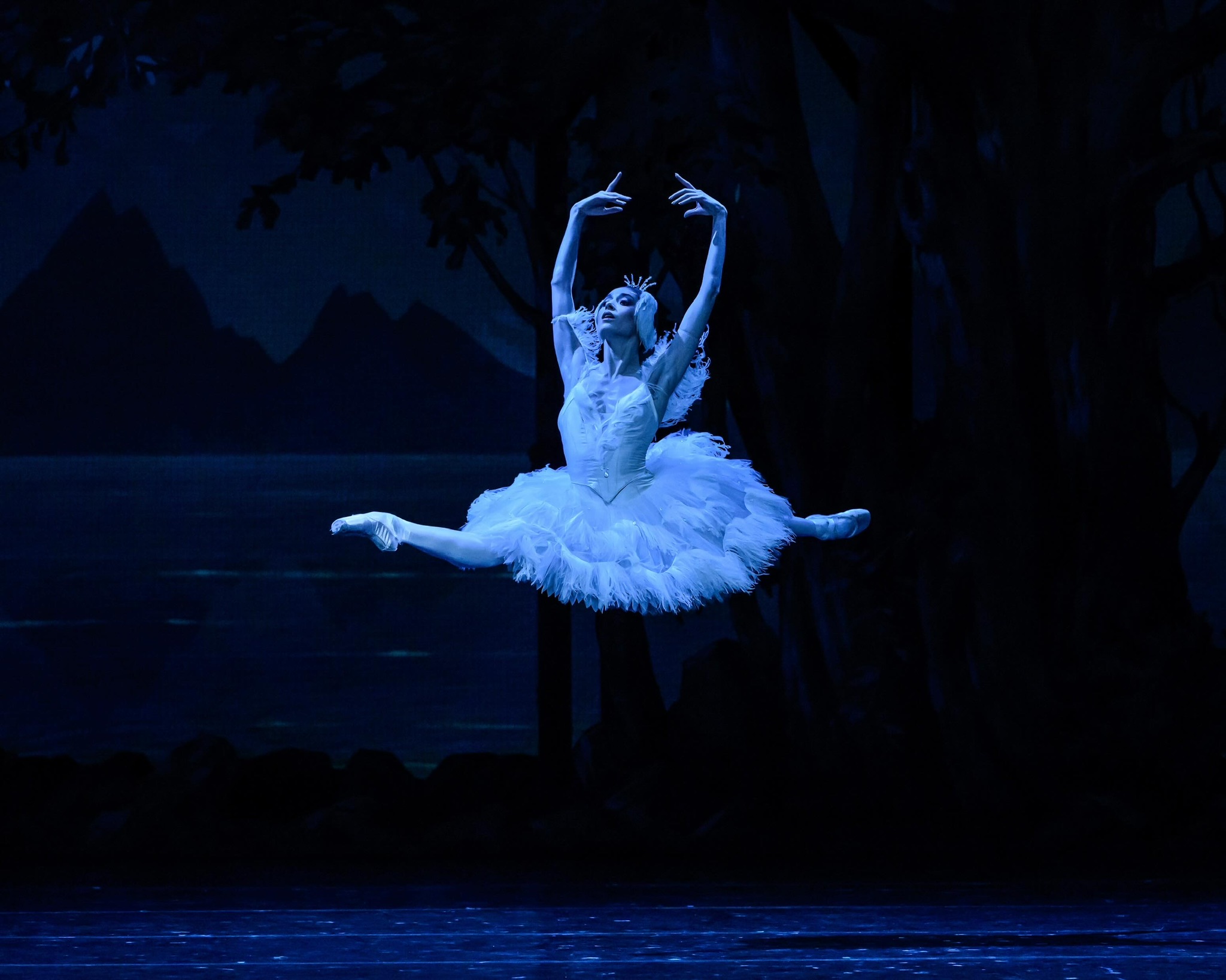Illusions – like Swan Lake (Odette), Photo by Gherciu Serghei