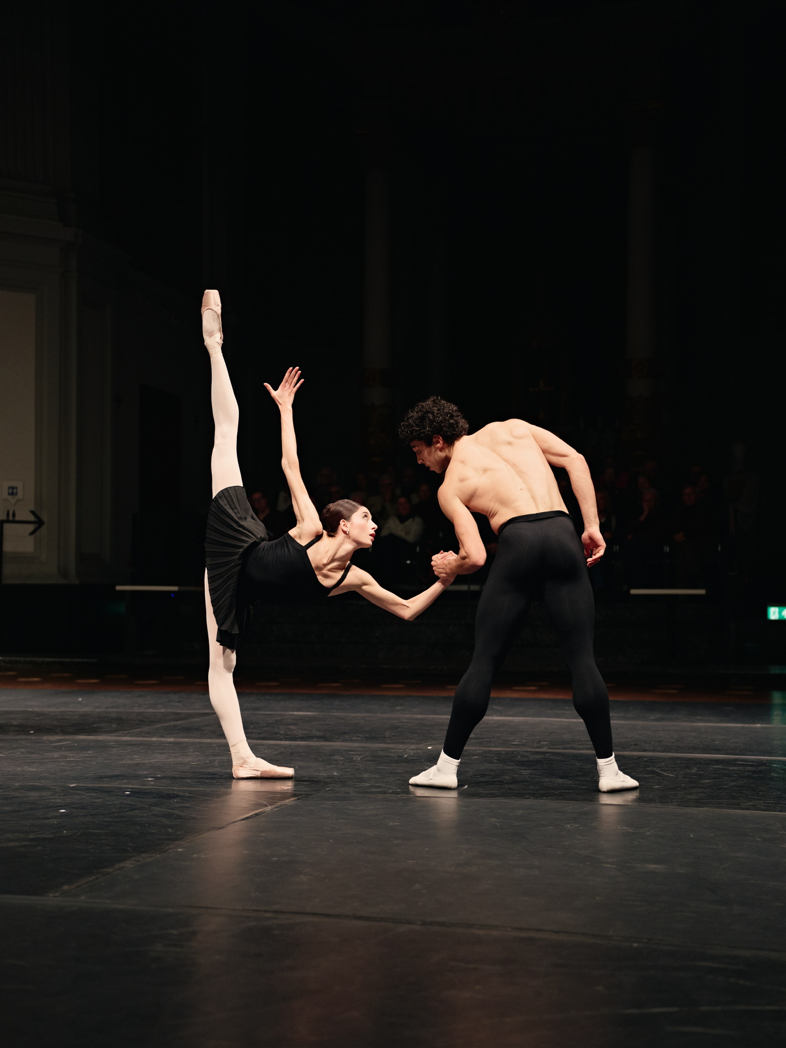Sarcasmen, Photo by Milagro Elstak